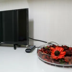 Shasha ホステル